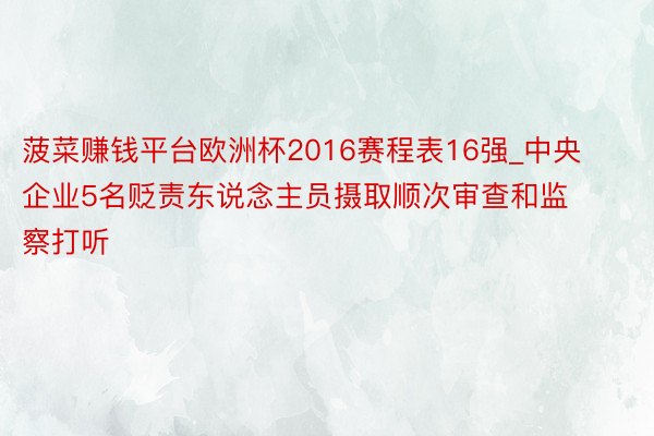 菠菜赚钱平台欧洲杯2016赛程表16强_中央企业5名贬责东说念主员摄取顺次审查和监察打听