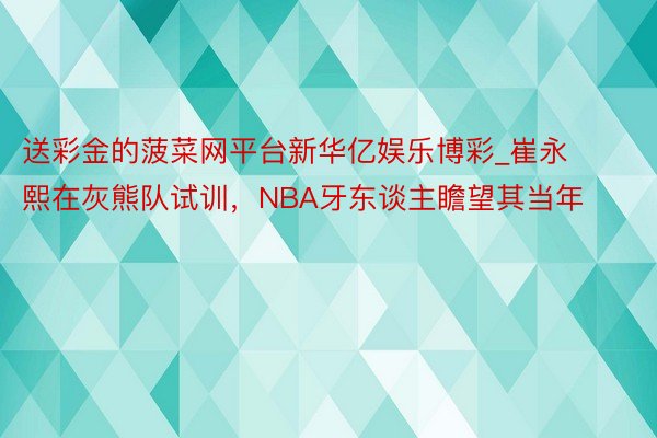 送彩金的菠菜网平台新华亿娱乐博彩_崔永熙在灰熊队试训，NBA牙东谈主瞻望其当年