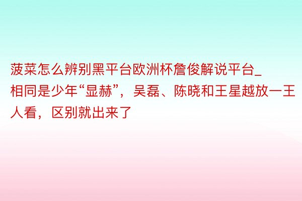 菠菜怎么辨别黑平台欧洲杯詹俊解说平台_相同是少年“显赫”，吴