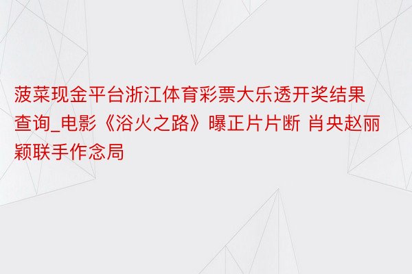 菠菜现金平台浙江体育彩票大乐透开奖结果查询_电影《浴火之路》曝正片片断 肖央赵丽颖联手作念局